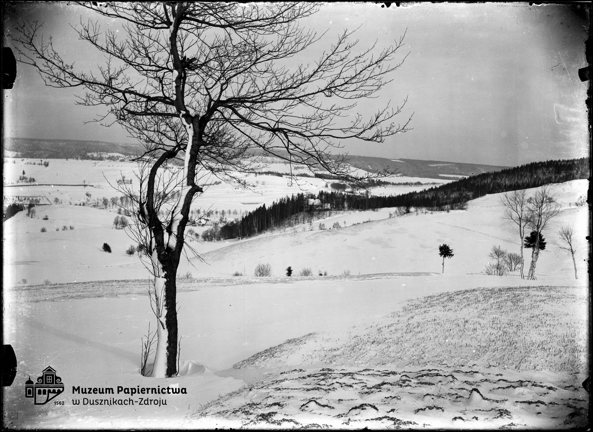 Zdjęcie przedstawiające zimowy widok w Bad Reinerz (Duszniki-Zdrój)
