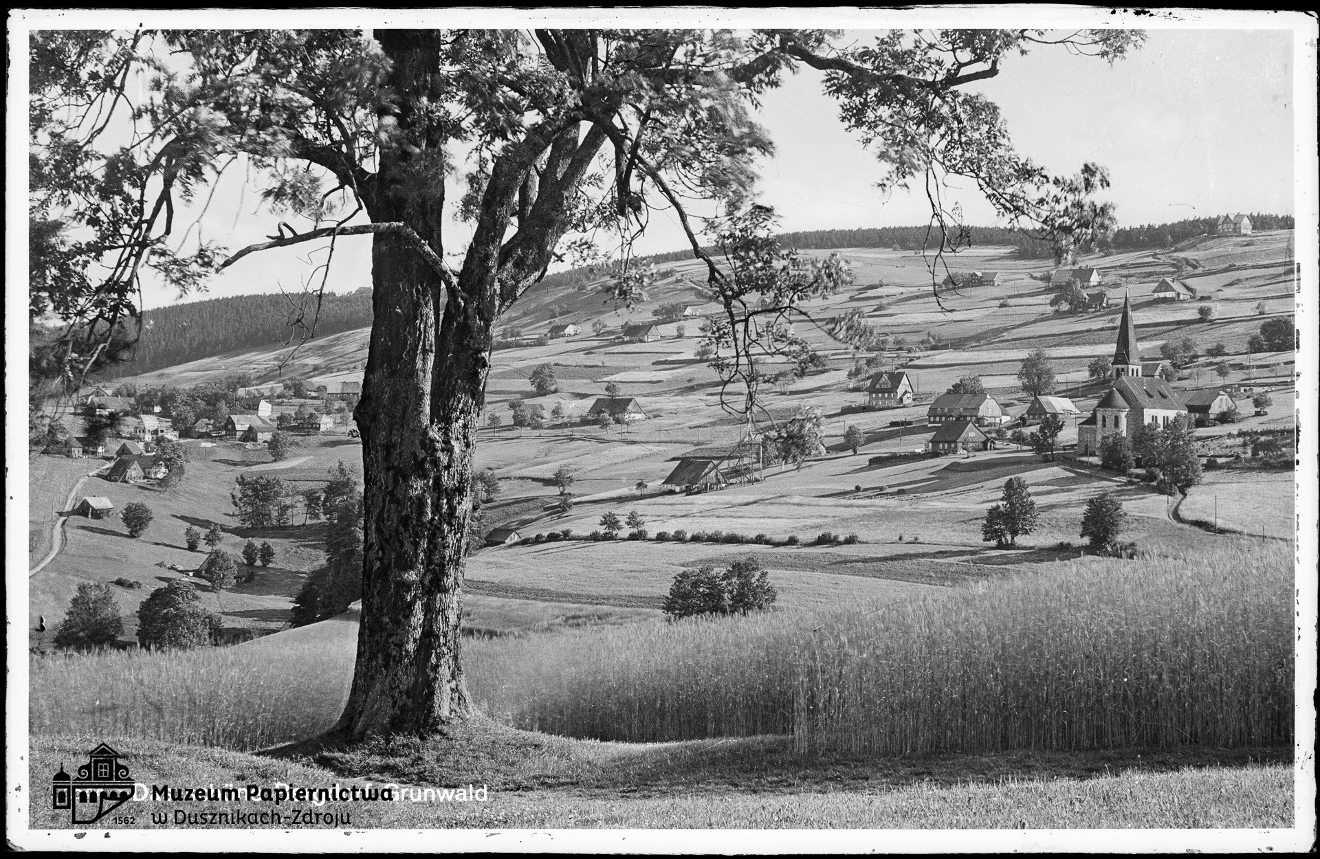 Zdjęcie przedstawiające Grunwald, Bad Reinerz (Zieleniec, Duszniki-Zdrój)